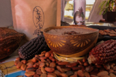 Cacao semilla tradicional y de identidad en la cocina mexicana