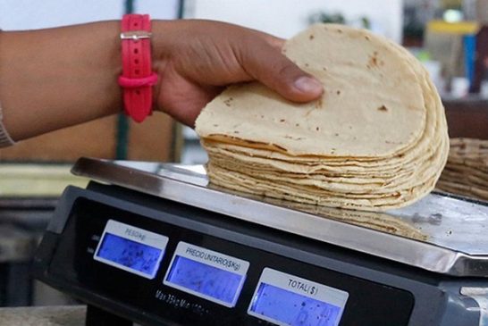 Para frenar precio de la tortilla, gobierno aplicara 50 % de arancel a exportación de maíz blanco