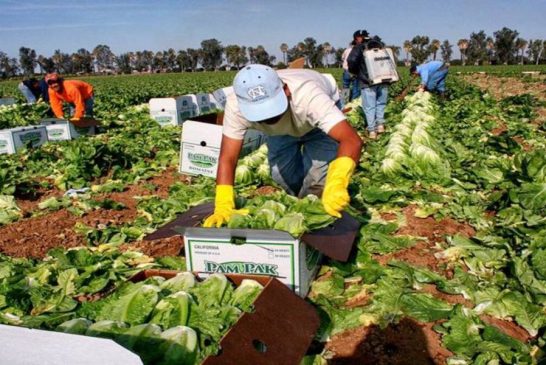Crece 13% intercambio comercial agroalimentario entre México y EU