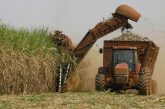 Azúcar amenaza con elevar presión... de inflación mundial de alimentos