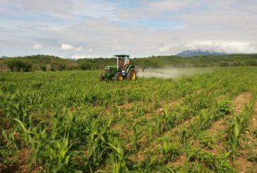 Agricultura y servicios ‘desinflan’ economía de México en julio: IGAE crece 0.2%
