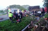 Volcadura deja al menos 10migrantes muertos en Chiapas