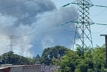 Reportan incendio de pastizales en la zona de Cuemanco en Xochimilco